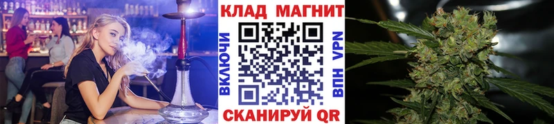 Галлюциногенные грибы Арсеньев