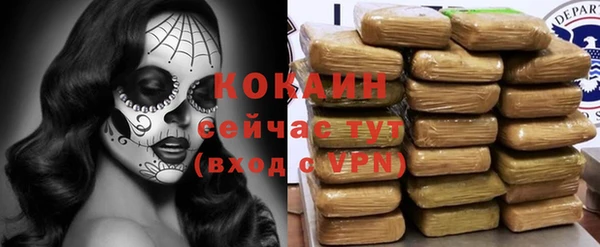 шишки Армянск