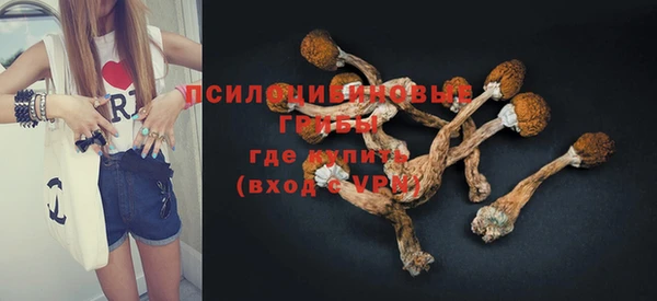 а пвп мука Арсеньев