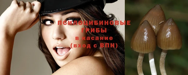 PSILOCYBIN Михайловск