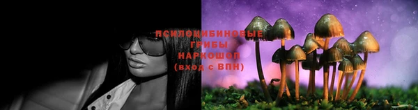 шишки Армянск