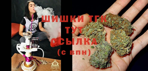 шишки Армянск