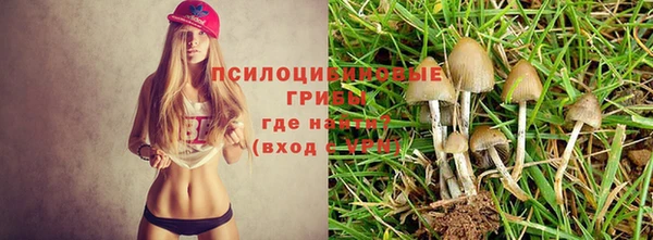 а пвп мука Арсеньев