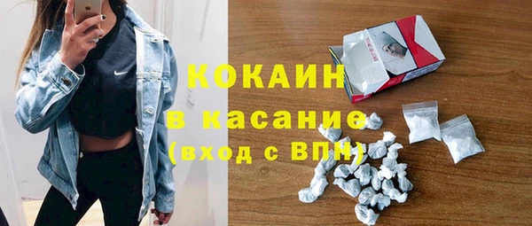 шишки Армянск