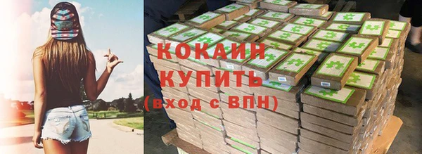 СК Михайлов